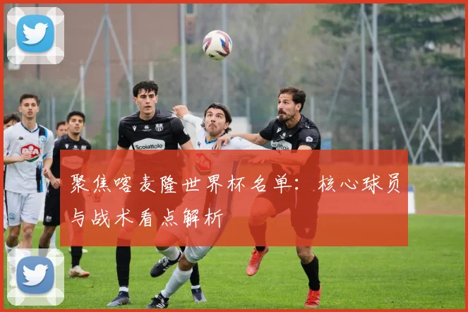 聚焦喀麦隆世界杯名单：核心球员与战术看点解析