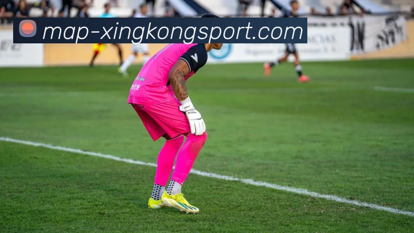 星空体育平台生态图